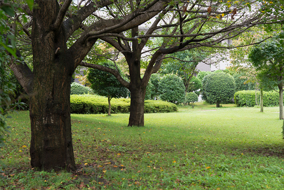 所属学会・専門医等